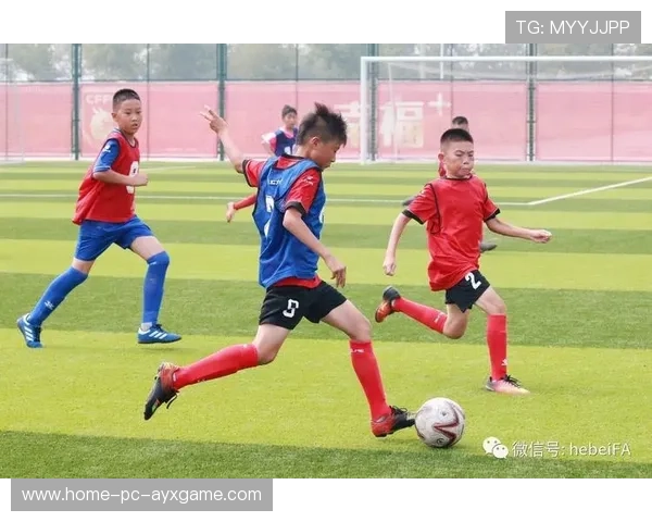 青训引发全国反思：从根源抓起，培养未来之星