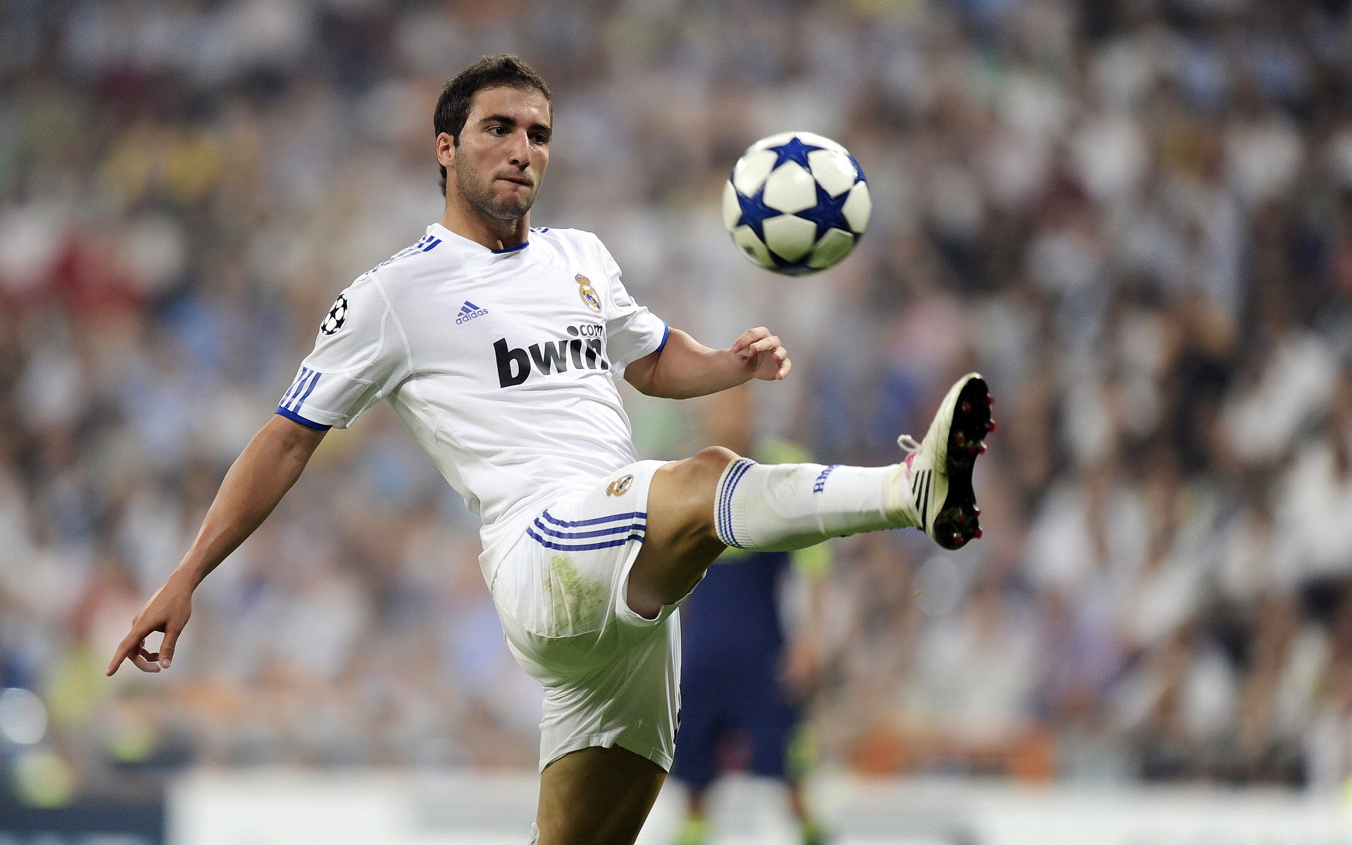 中巡赛引入青少年赛事，促进青少年参与高尔夫，中巡赛排名